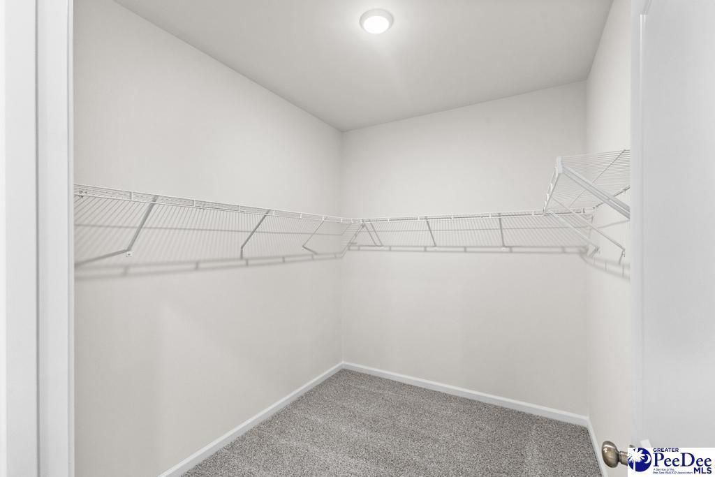 1185 Summer Duck Loop Photo 26