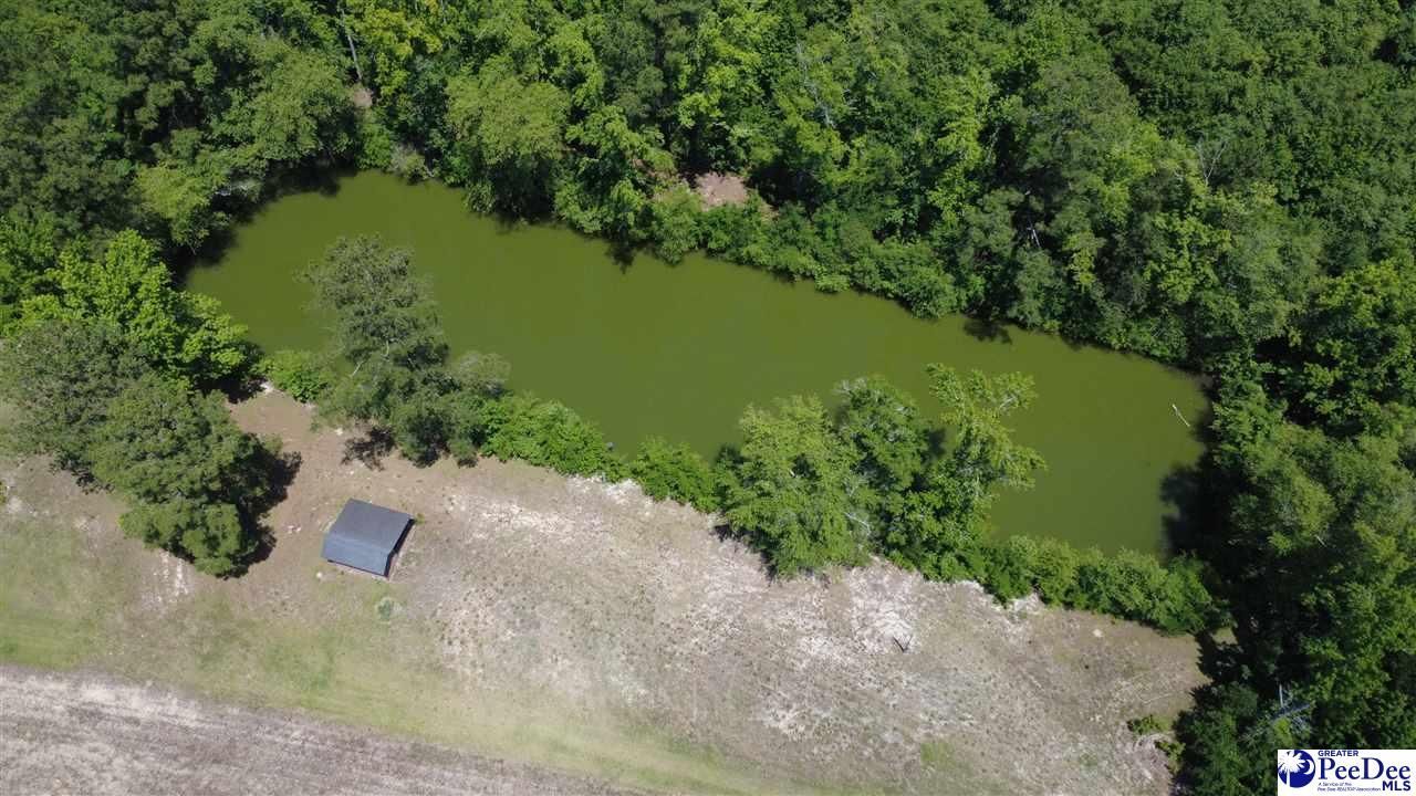 Tbd Old Georgetown Rd Photo 13