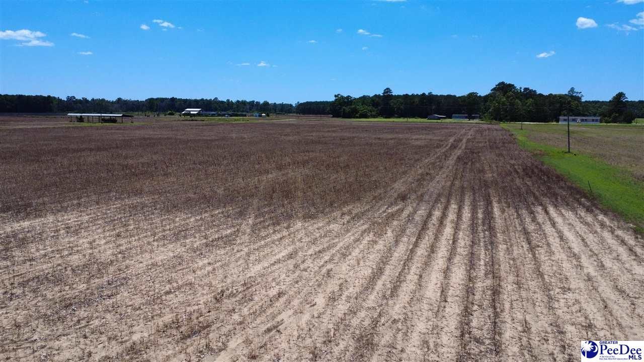 Tbd Old Georgetown Rd Photo 19