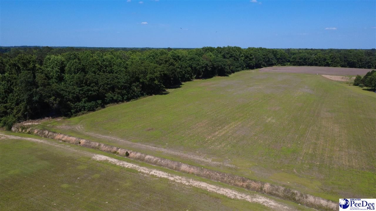 Tbd N. Bethel Rd (field) Photo 10