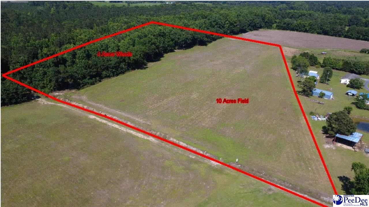Tbd N. Bethel Rd (field) Photo 4