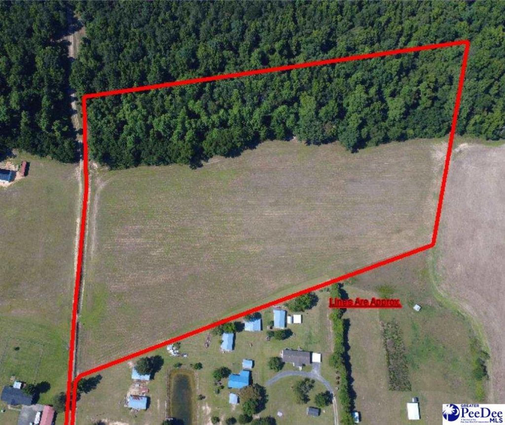 Tbd N. Bethel Rd (field) Photo 5