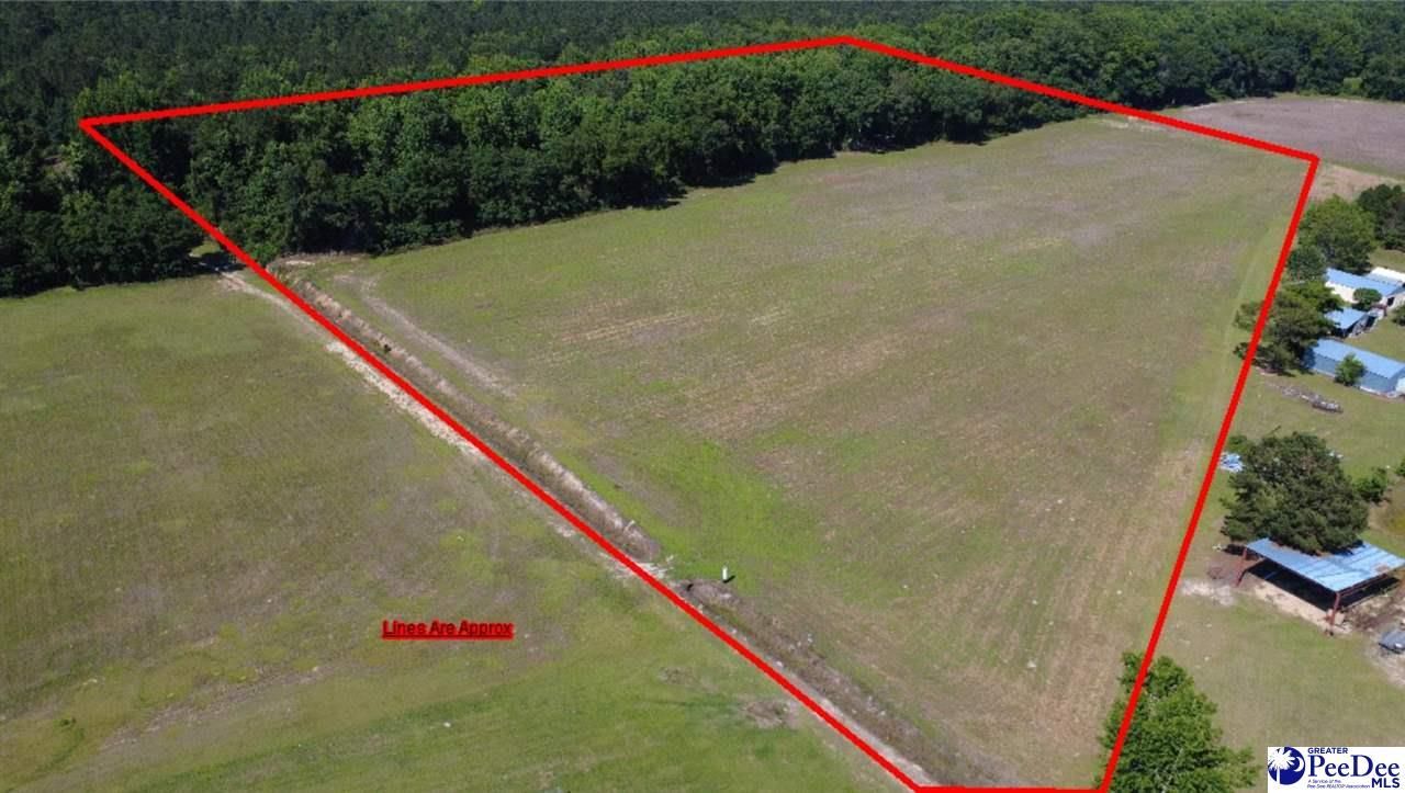 Tbd N. Bethel Rd (field) Photo 6