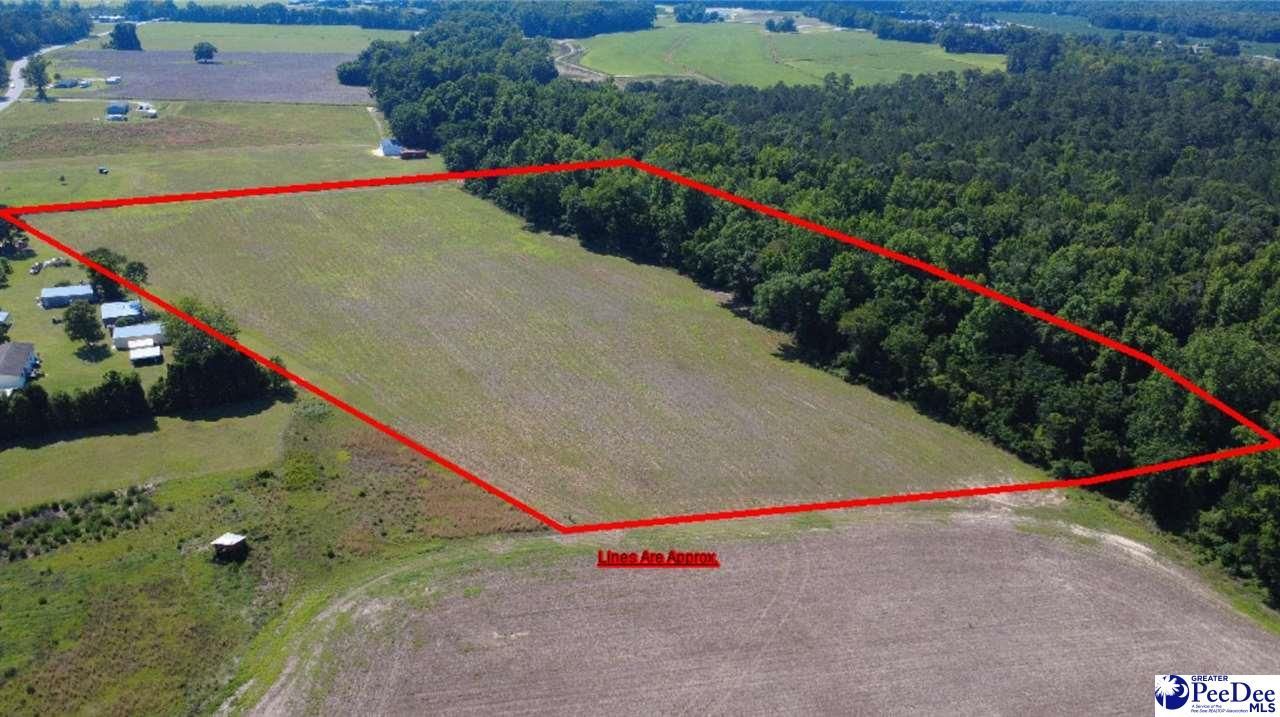 Tbd N. Bethel Rd (field) Photo 7