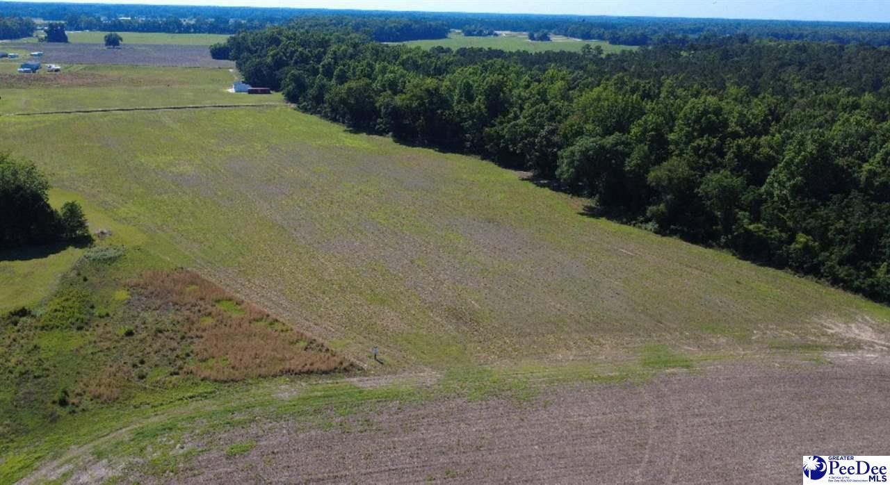 Tbd N. Bethel Rd (field) Photo 9