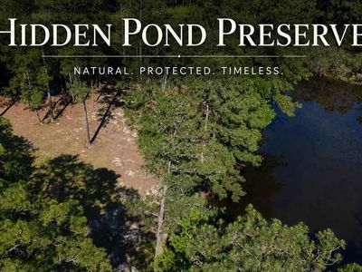 TBD N. Bethel Rd (Woods), Scranton, SC 29591