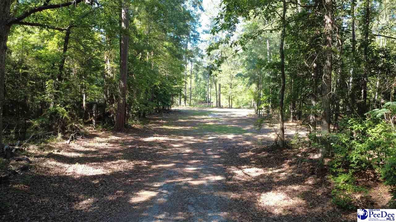 Tbd N. Bethel Rd (woods) Photo 10