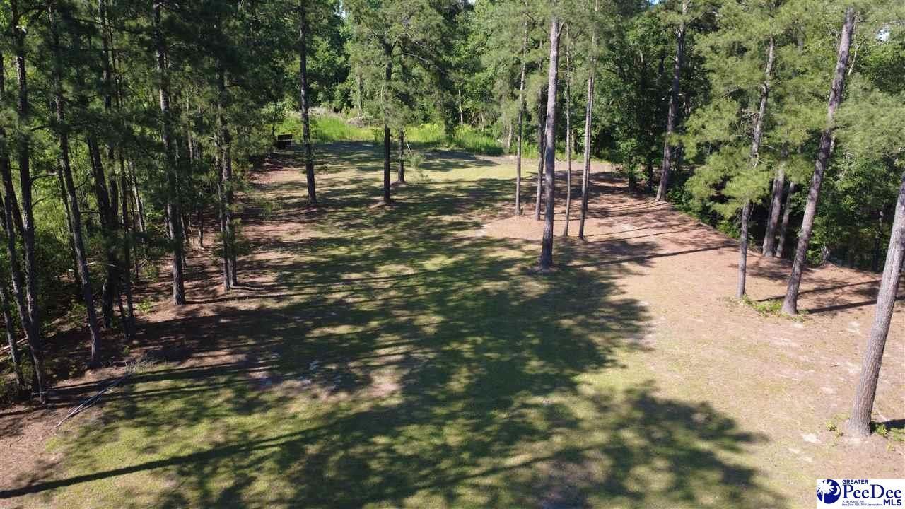 Tbd N. Bethel Rd (woods) Photo 11