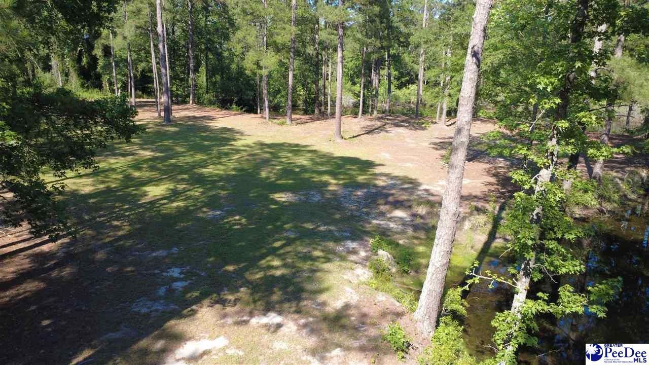 Tbd N. Bethel Rd (woods) Photo 12