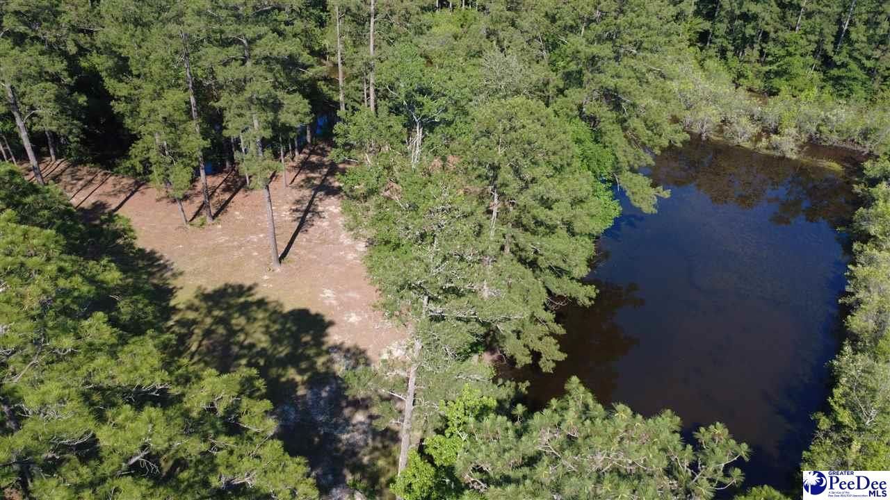 Tbd N. Bethel Rd (woods) Photo 14