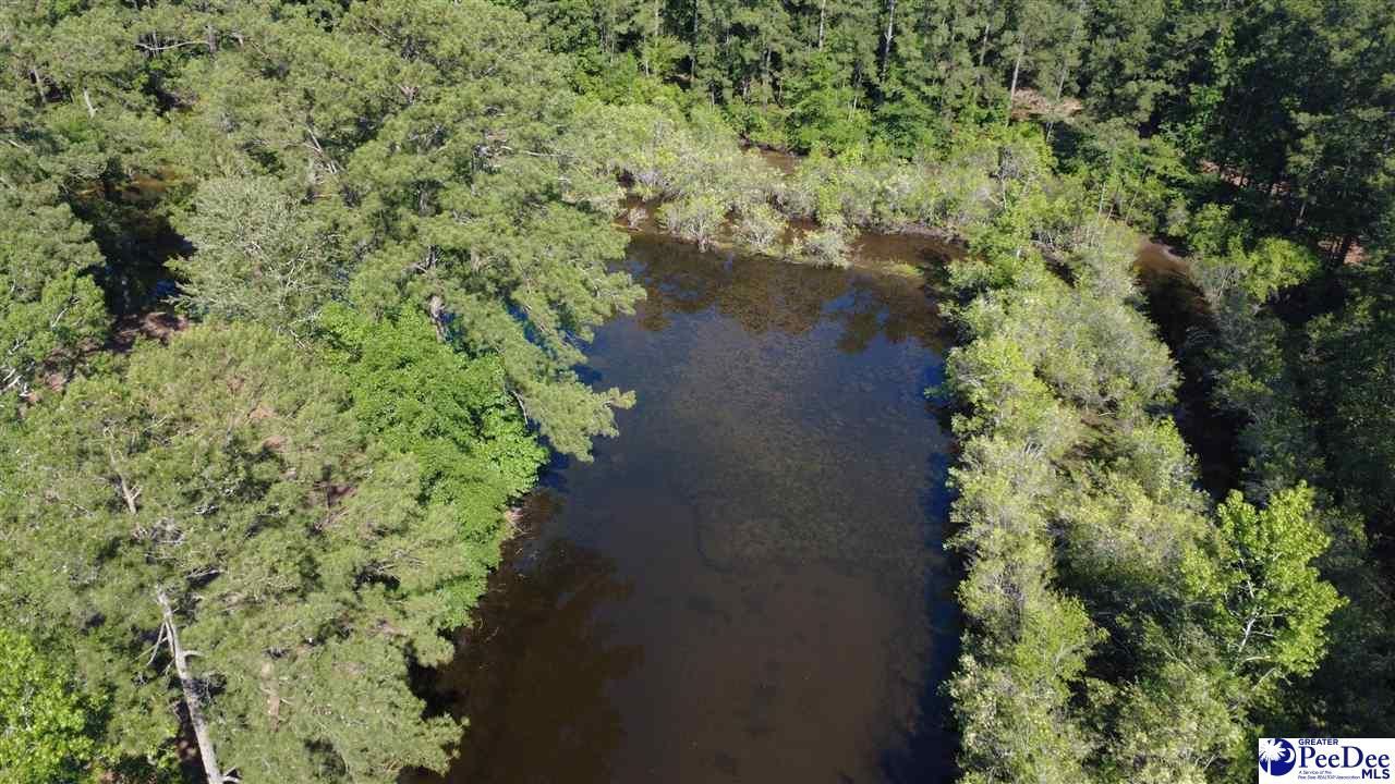Tbd N. Bethel Rd (woods) Photo 15