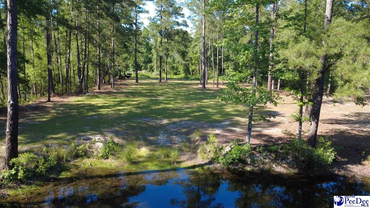Tbd N. Bethel Rd (woods) Photo 16