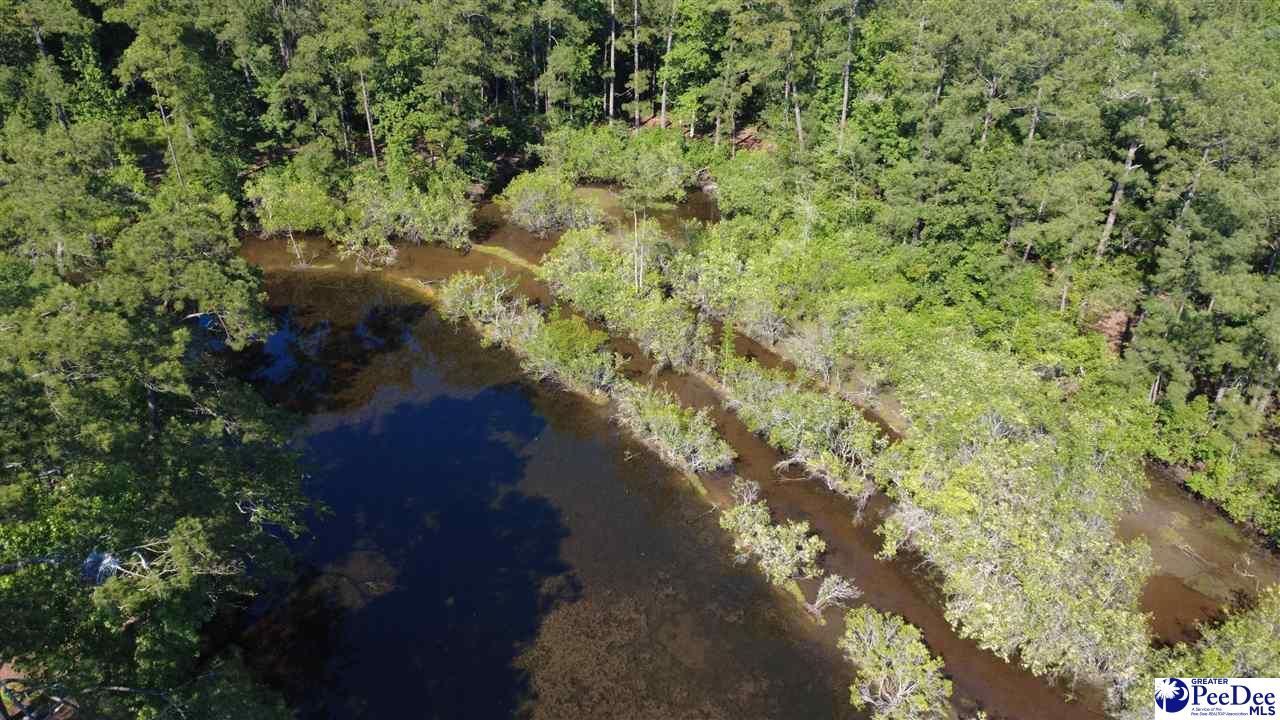 Tbd N. Bethel Rd (woods) Photo 17