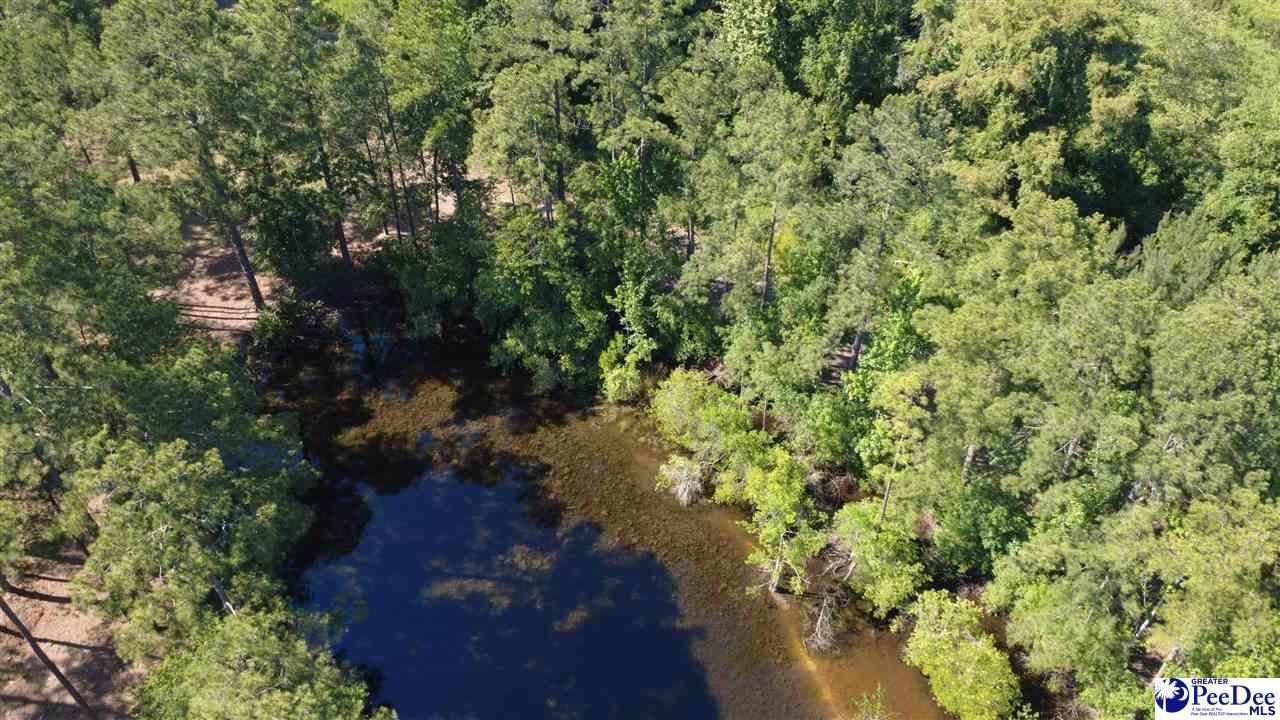 Tbd N. Bethel Rd (woods) Photo 18