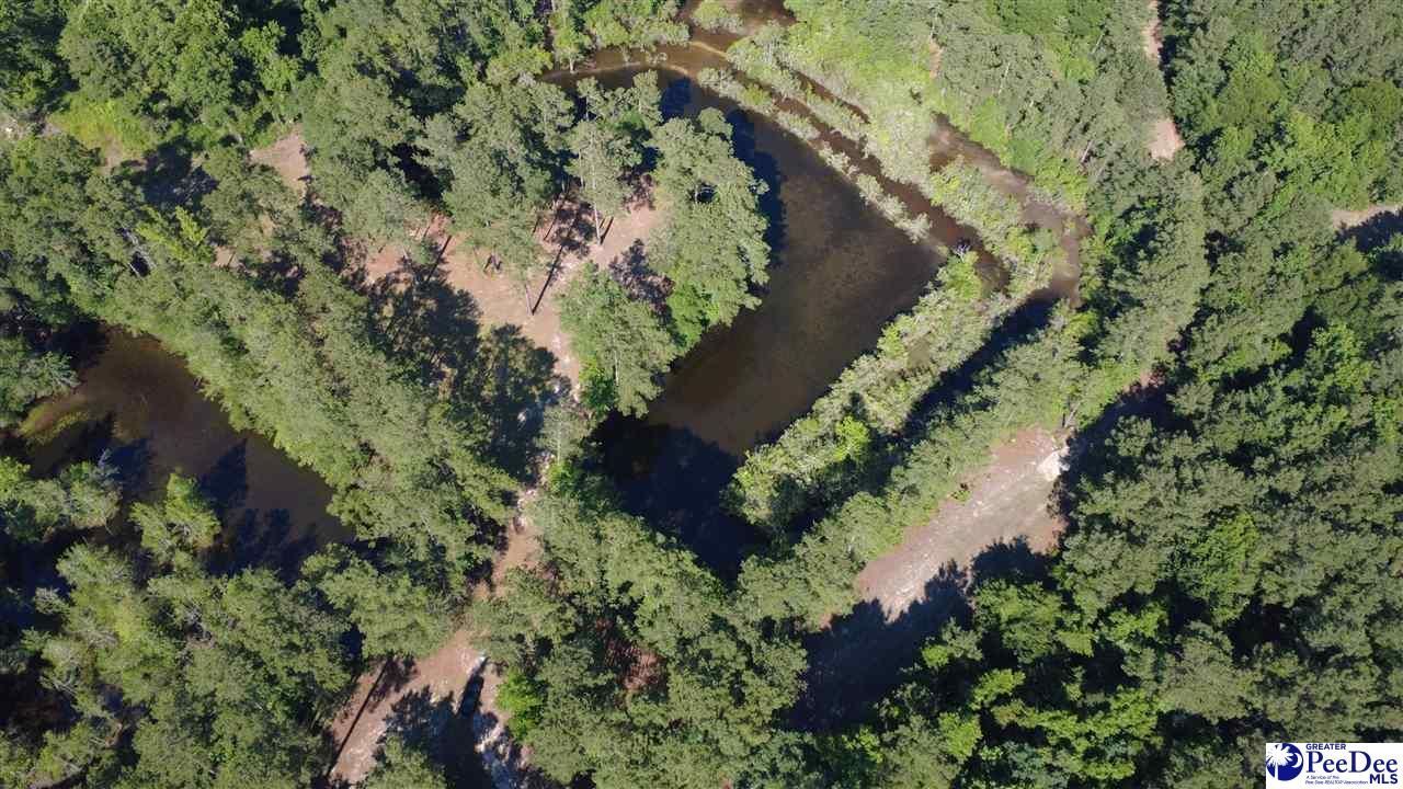 Tbd N. Bethel Rd (woods) Photo 19