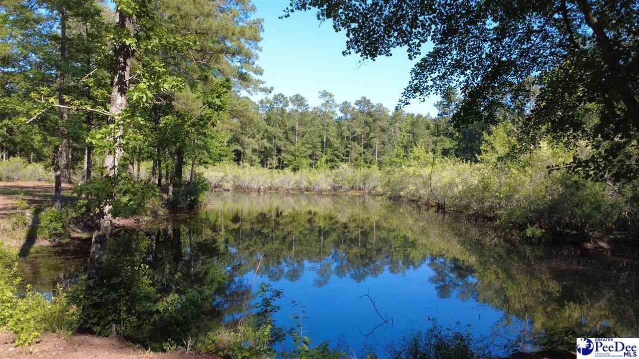 Tbd N. Bethel Rd (woods) Photo 20