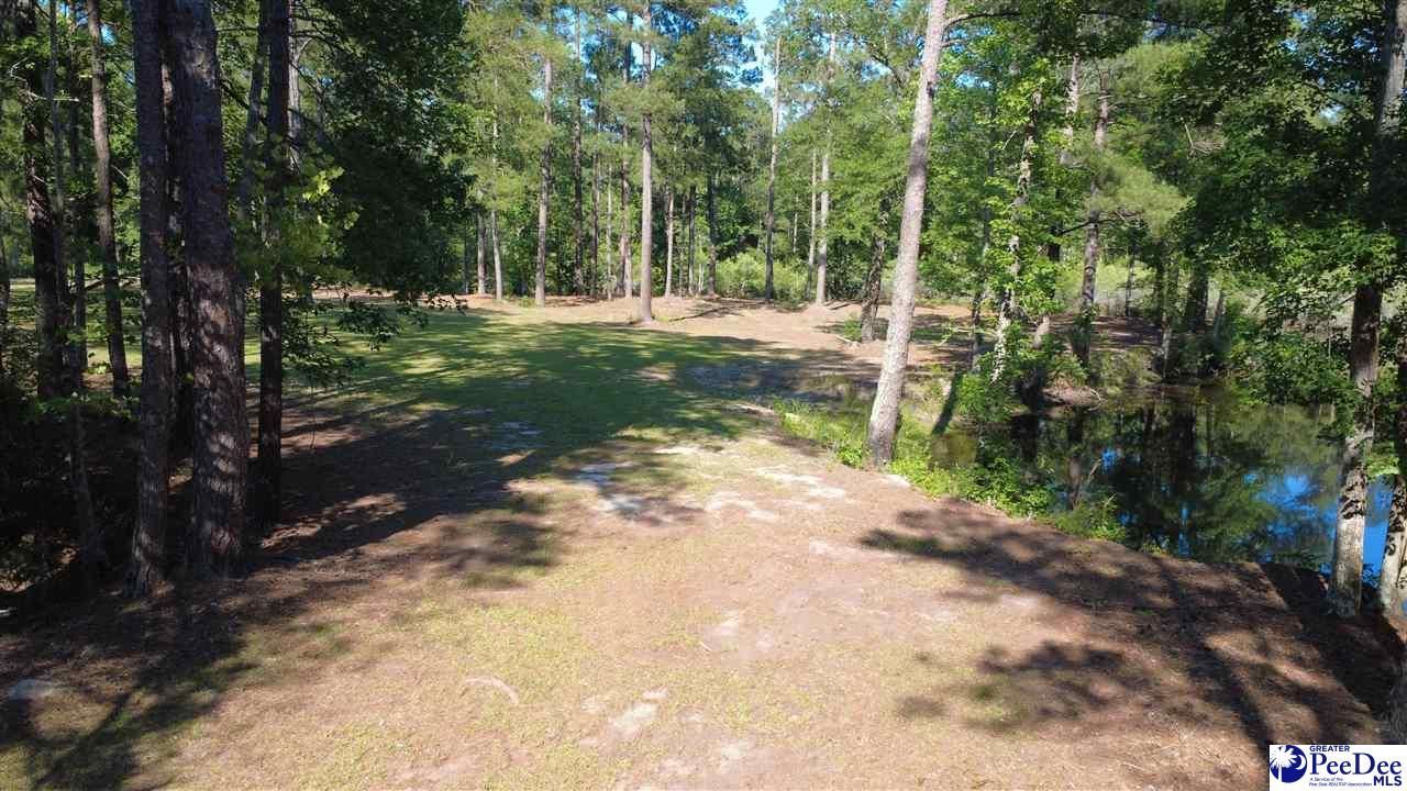 Tbd N. Bethel Rd (woods) Photo 21