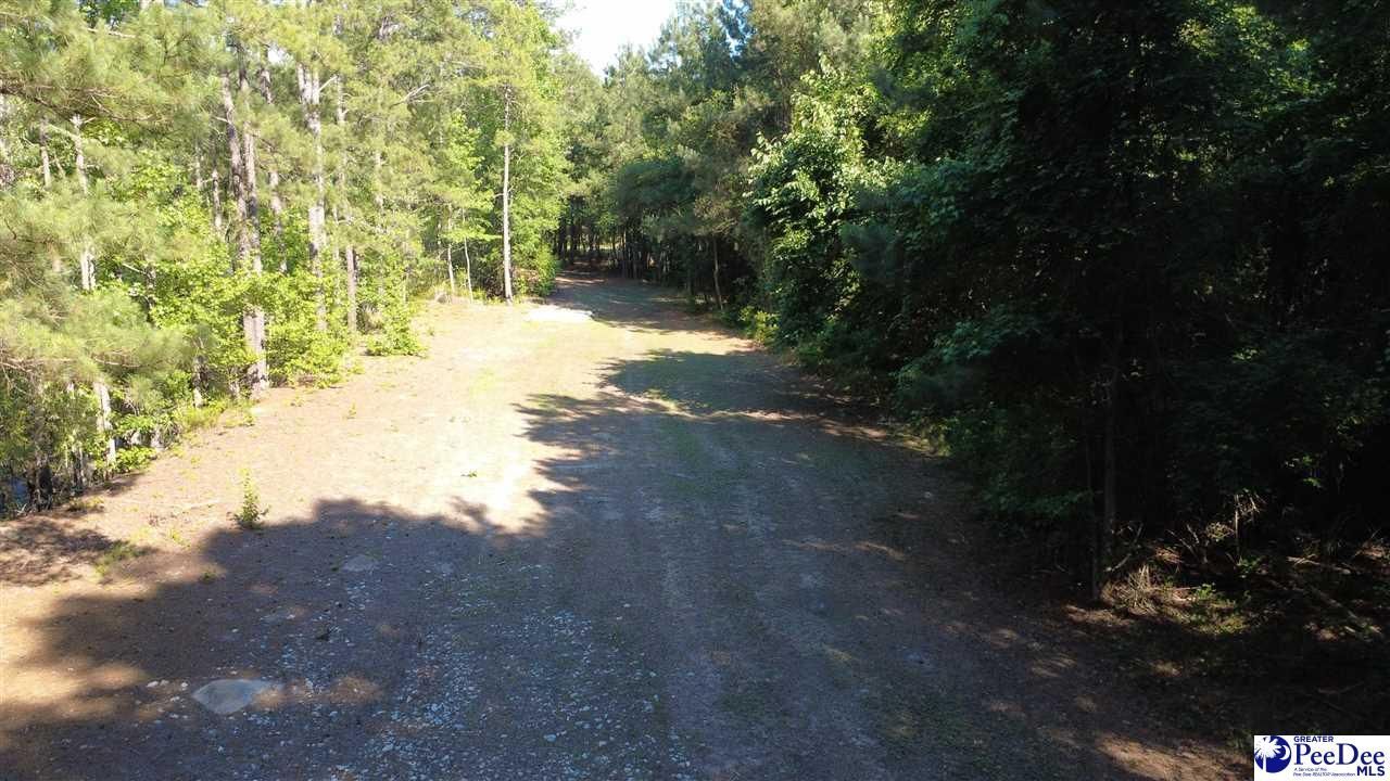 Tbd N. Bethel Rd (woods) Photo 22