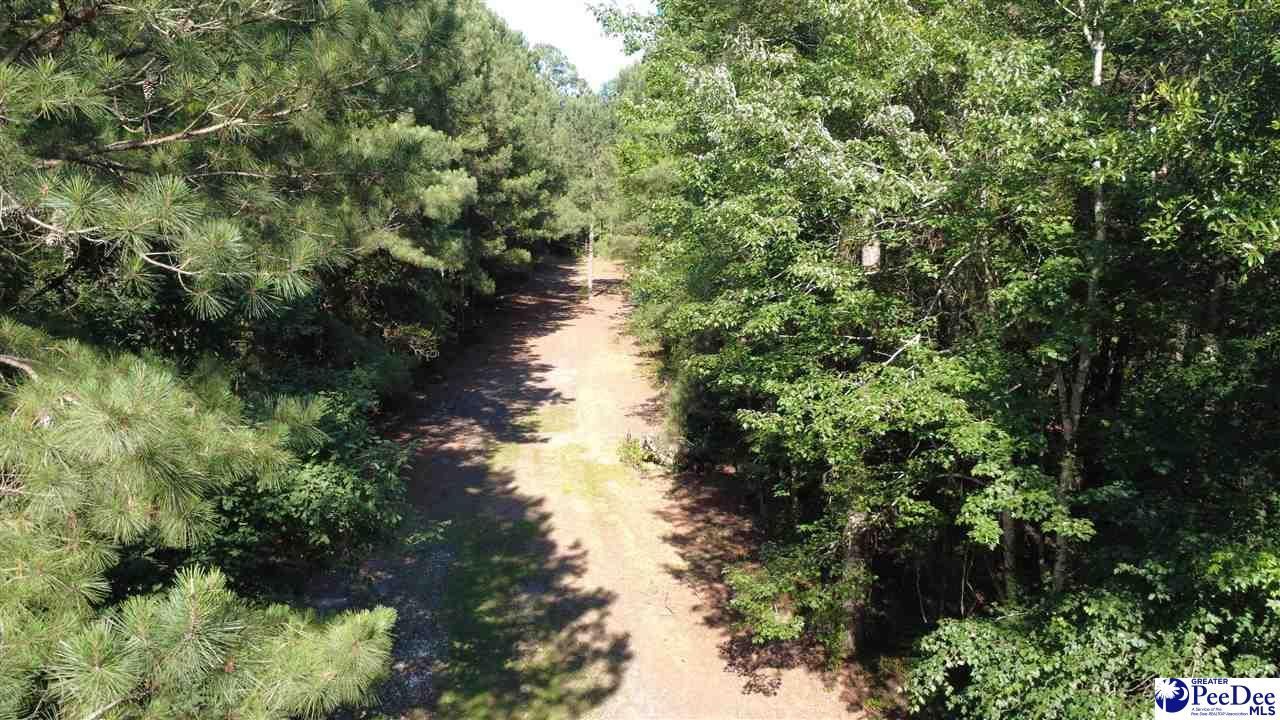 Tbd N. Bethel Rd (woods) Photo 23