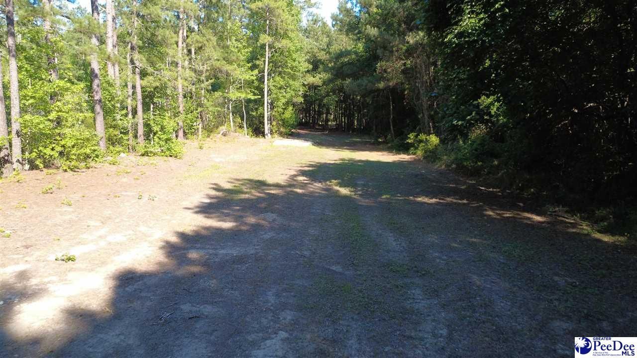 Tbd N. Bethel Rd (woods) Photo 24