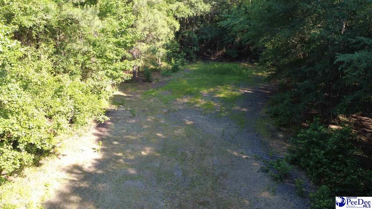 Tbd N. Bethel Rd (woods) Photo 25