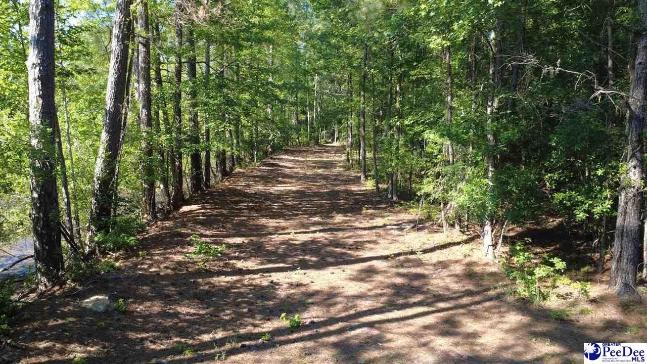 Tbd N. Bethel Rd (woods) Photo 26
