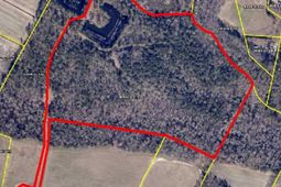 Tbd N. Bethel Rd (woods) photo 4
