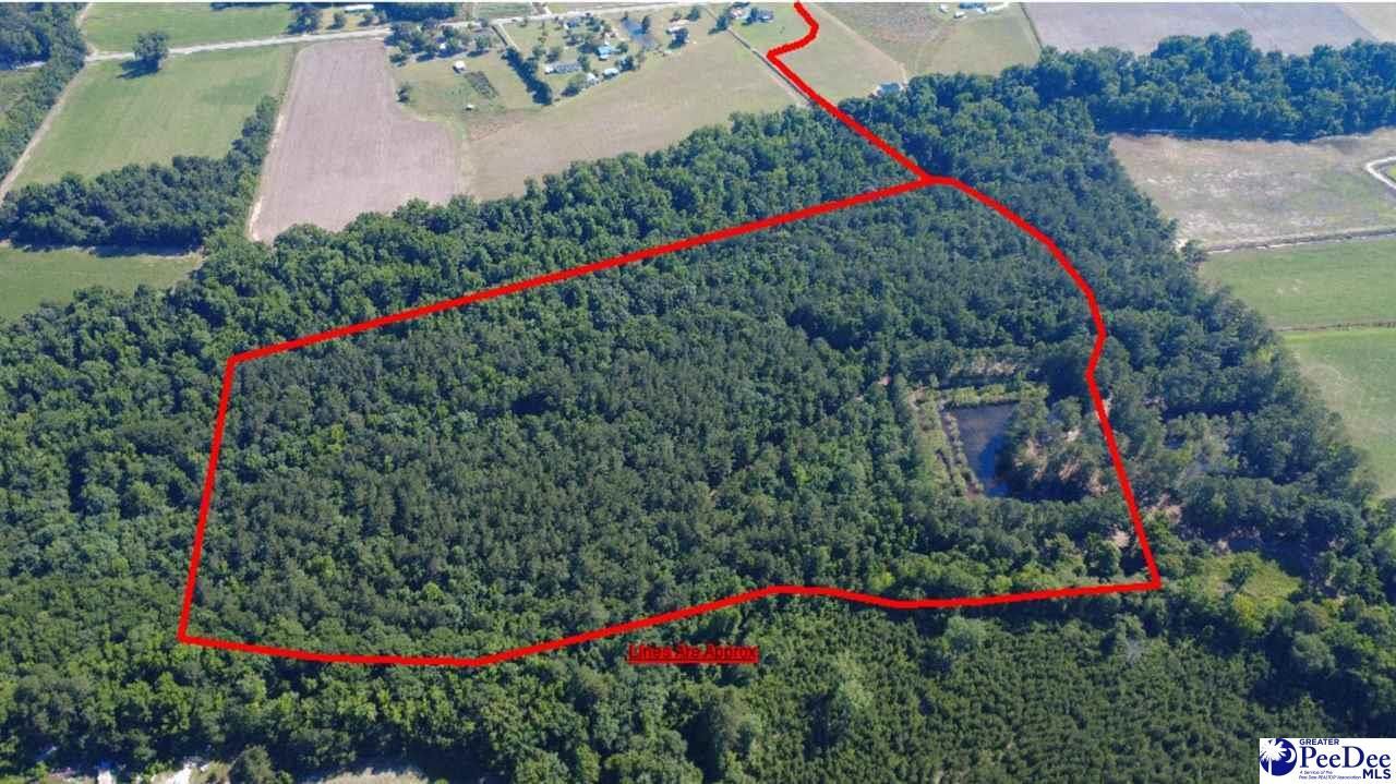Tbd N. Bethel Rd (woods) Photo 4