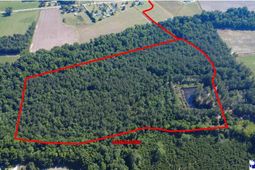 Tbd N. Bethel Rd (woods) photo 4