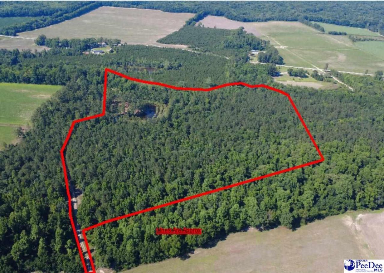 Tbd N. Bethel Rd (woods) Photo 5