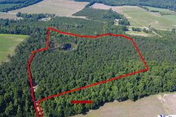 Tbd N. Bethel Rd (woods) photo 4