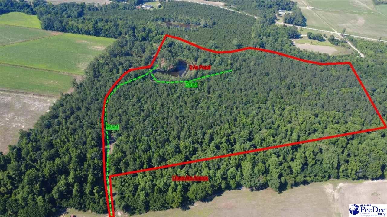 Tbd N. Bethel Rd (woods) Photo 6