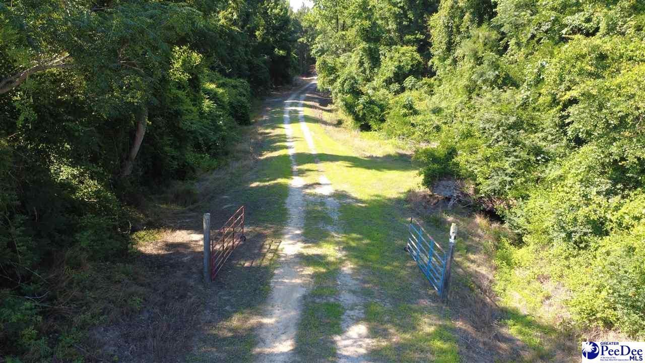 Tbd N. Bethel Rd (woods) Photo 7