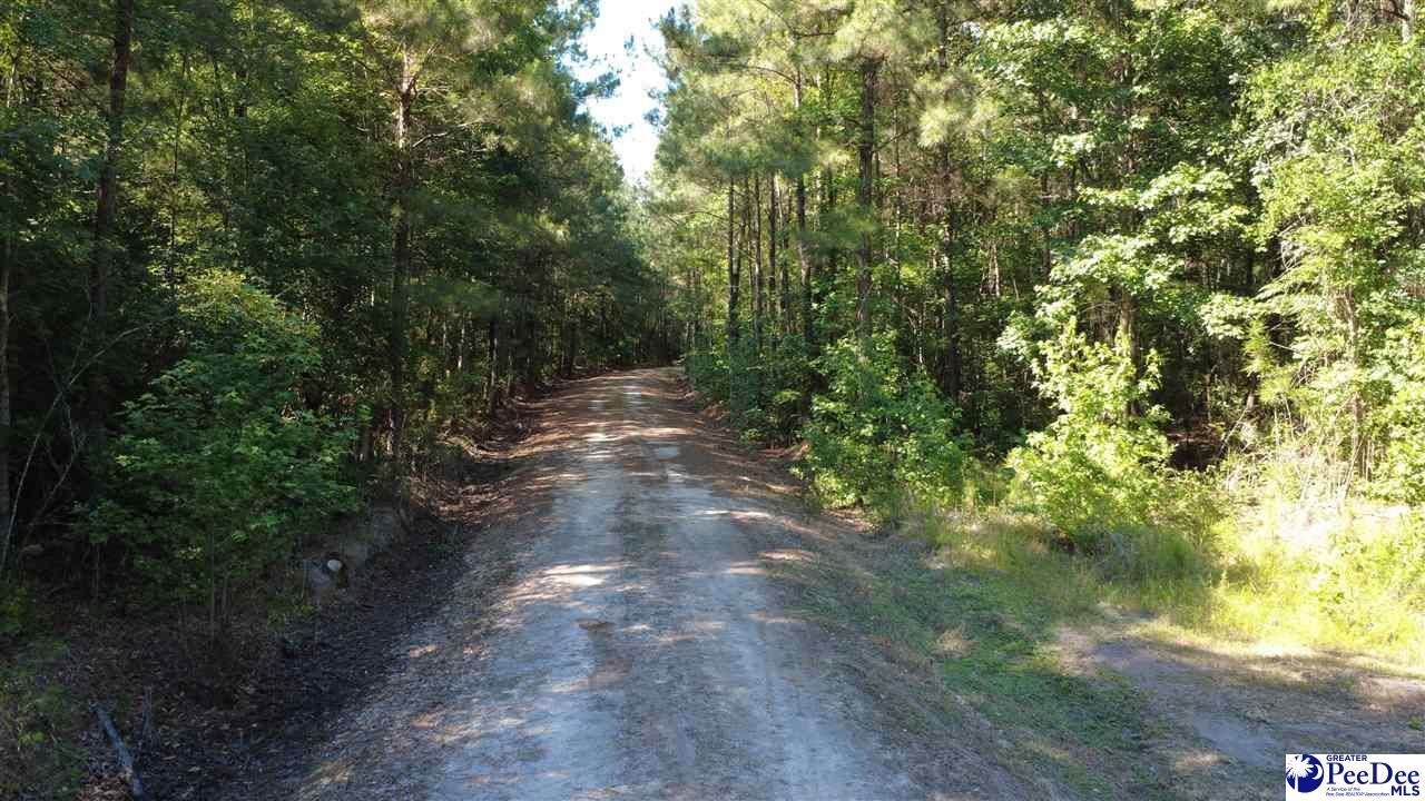 Tbd N. Bethel Rd (woods) Photo 8