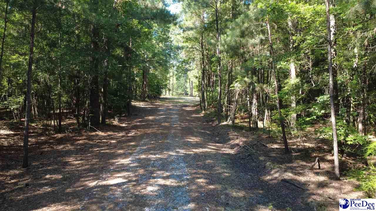 Tbd N. Bethel Rd (woods) Photo 9