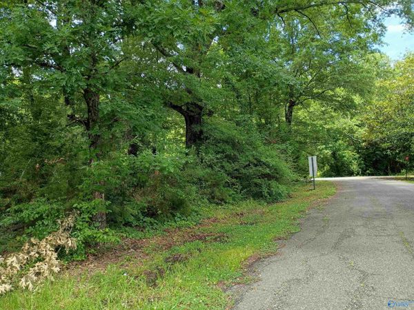 LOT 103-106 Brooklyn Street, Centre, AL 35960