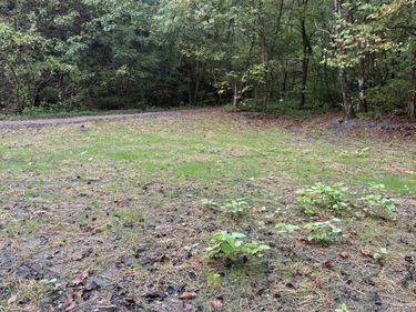 3350 Lower Pompey Branch Road, Shelbiana, KY 41562
