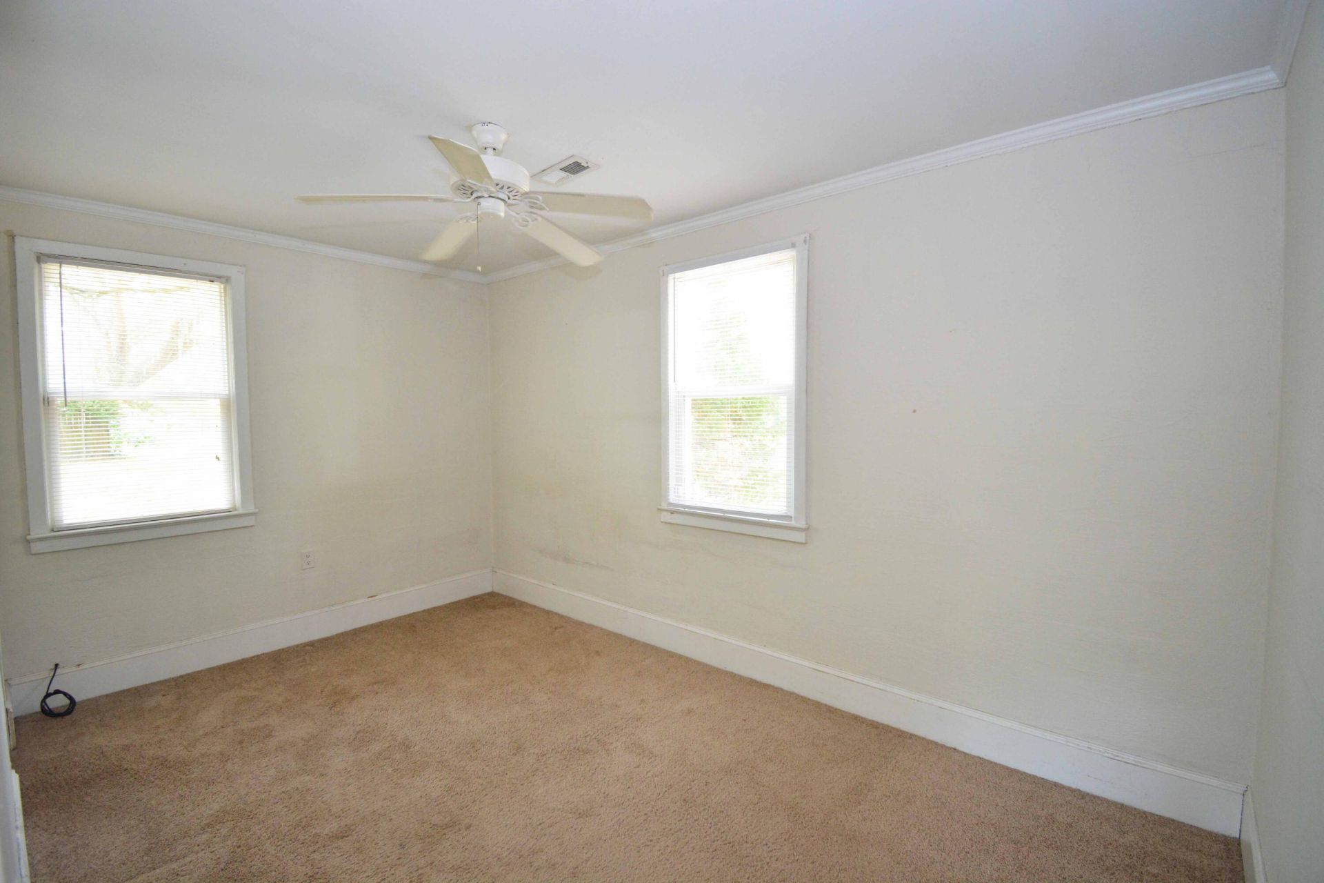 906 Woodward Avenue Photo 11