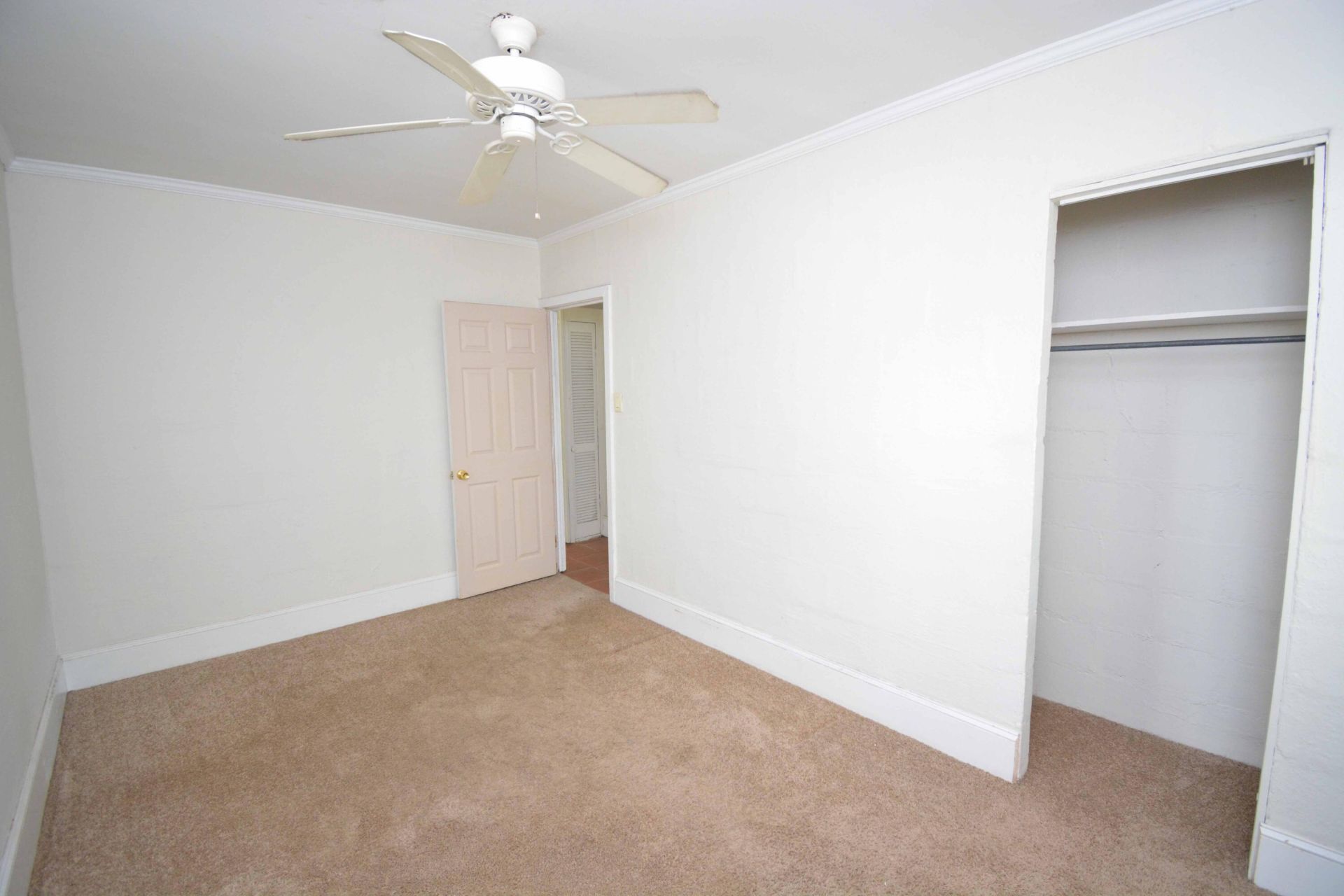 906 Woodward Avenue Photo 12