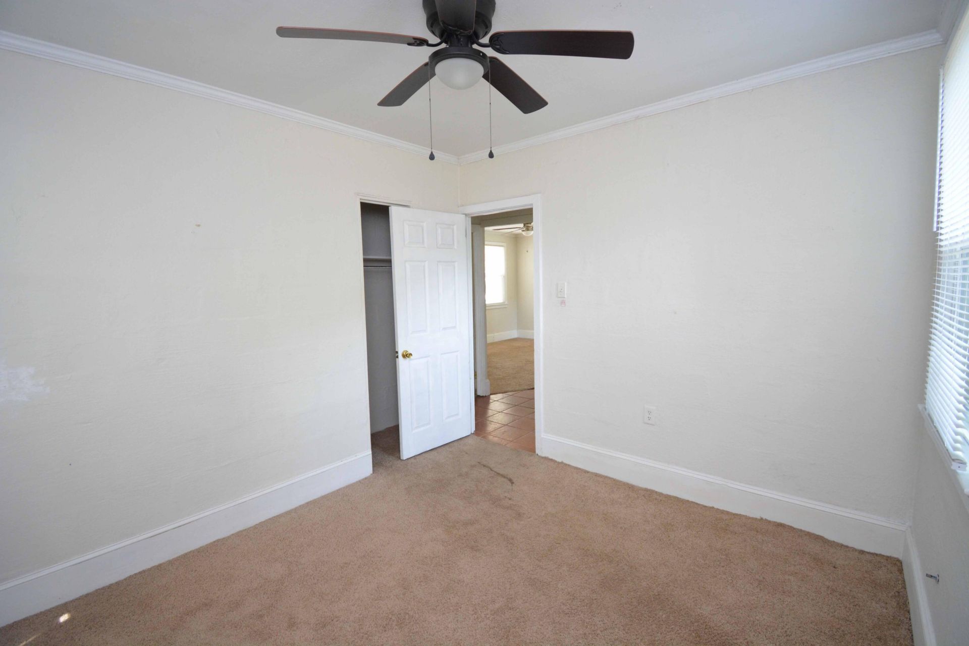 906 Woodward Avenue Photo 9