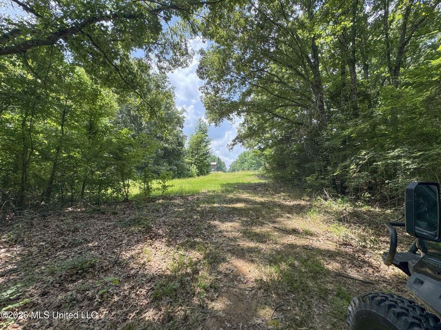 Property Image 102
