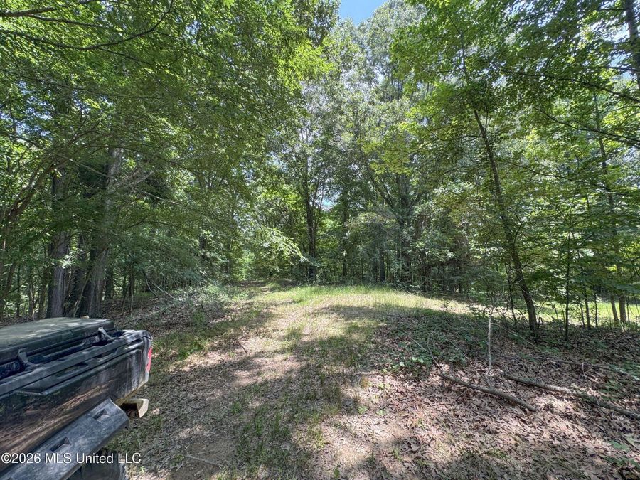 Property Image 103