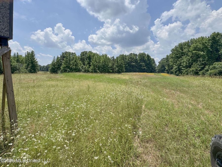 Property Image 104