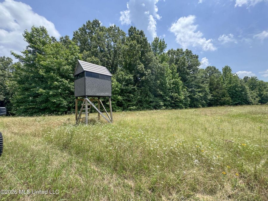 Property Image 105