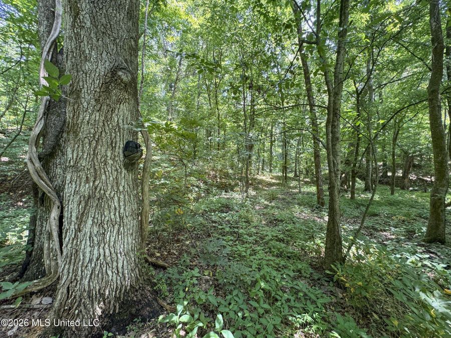 Property Image 106