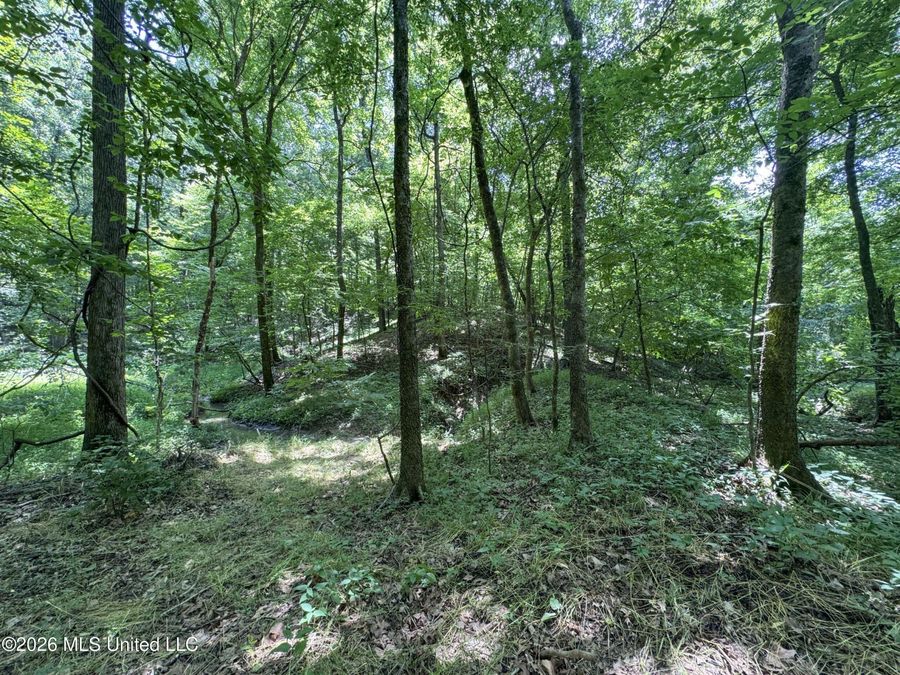 Property Image 107