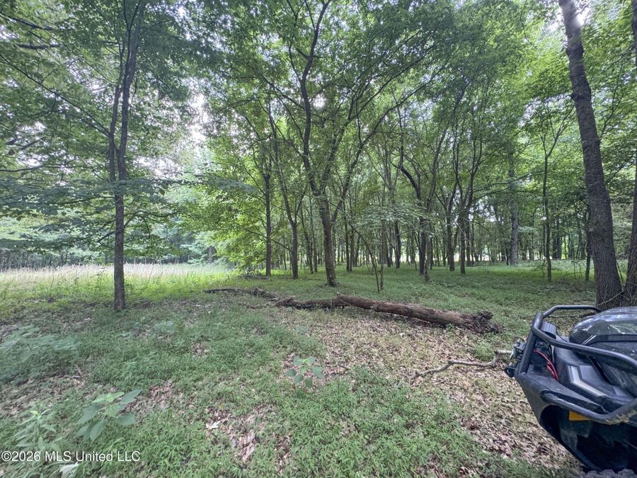 Property Image 114