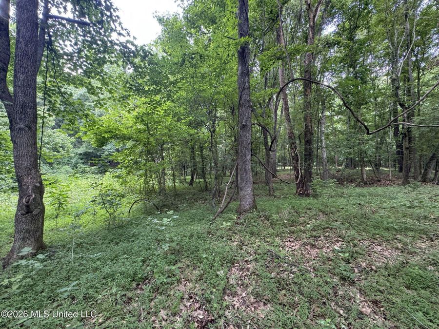 Property Image 115