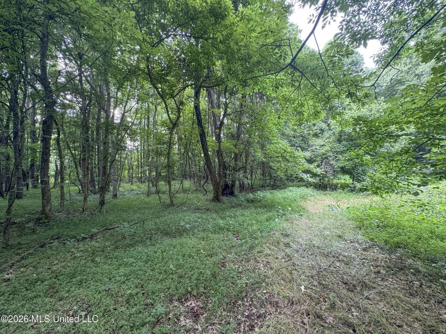 Property Image 116