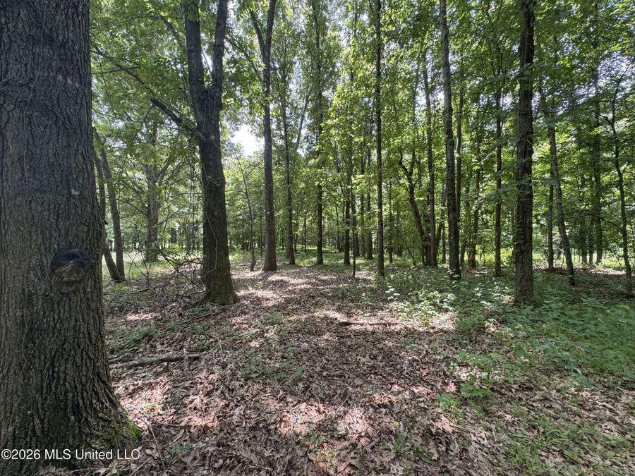 Property Image 117